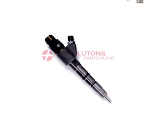 delphi injectors review EJBR02101Z Diesel Auto Engine Injector for Renault